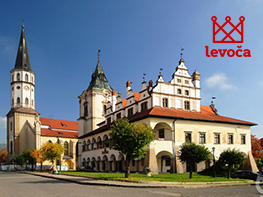 Elektronická registratúra pre mesto Levoča