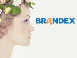 Brandex - internetový obchod